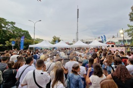 Концерт на Ед Шийран - фенове - пропускателен режим