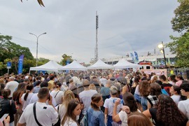 Концерт на Ед Шийран - фенове - пропускателен режим