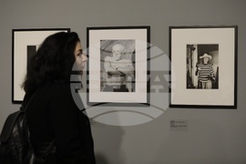 Животът на Пабло Пикасо - изложба