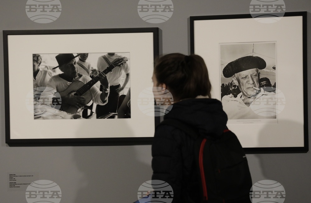 Животът на Пабло Пикасо - изложба