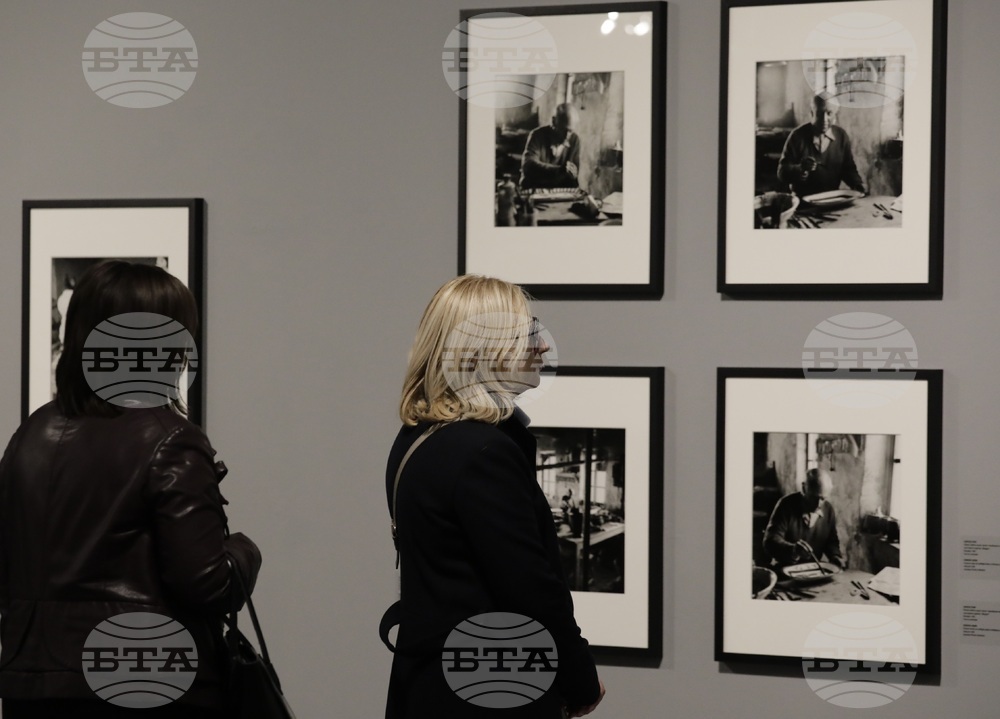 Животът на Пабло Пикасо - изложба