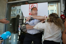 БСП - Национален съвет