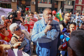 БСП - Национален съвет