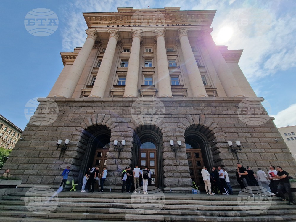 ЦИК - ДПС - ДПС (без Пеевски и група) - привърженици