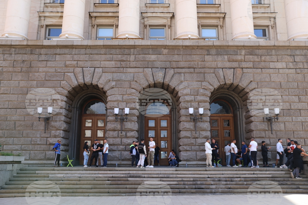 ЦИК - ДПС - ДПС (без Пеевски и група) - привърженици