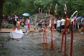 "Реките на София" - фестивал