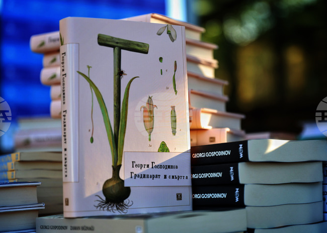 Романът на Георги Господинов „Градинарят и смъртта“ влезе в топ 10 за месец септември в класация на германската радиостанция SWR