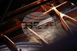 Созопол - "Аполония" 2024 - Елена Дикова и Стоимен Пеев - концерт