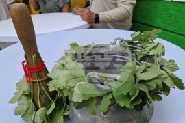 Разград - Спортно училище - нова учебна година