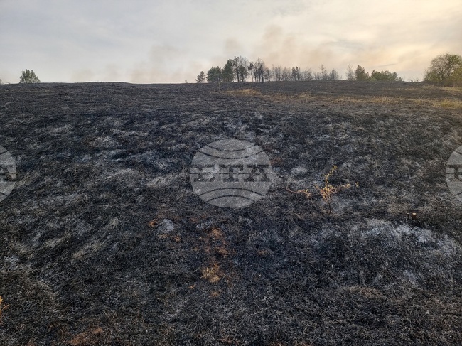 Пожарите в сухи треви и отпадъци в Монтанско зачестяват