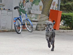 Снимка: Община Варна