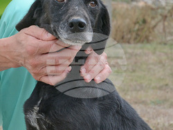 Снимка: Община Варна