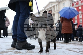 Служители на МВнР - протест