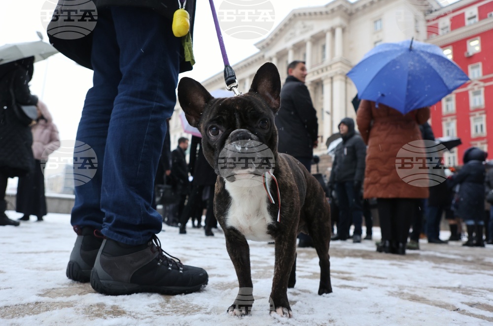 Служители на МВнР - протест