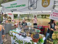 Снимка: Община Плевен