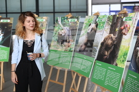 Летище "София" - „Четири лапи“ - изложба „Спасените: 20 години история“