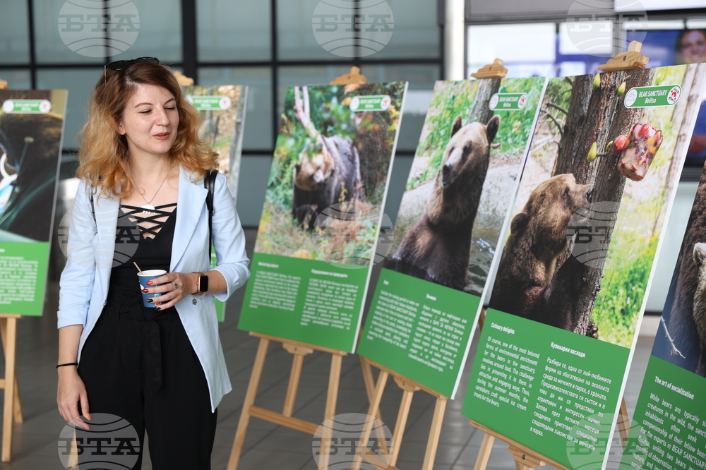 Летище "София" - „Четири лапи“ - изложба „Спасените: 20 години история“