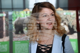 Летище "София" - „Четири лапи“ - изложба „Спасените: 20 години история“