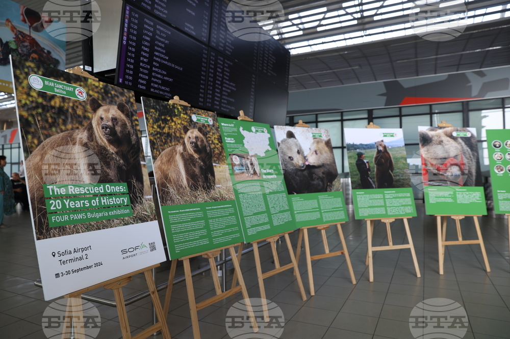 Летище "София" - „Четири лапи“ - изложба „Спасените: 20 години история“