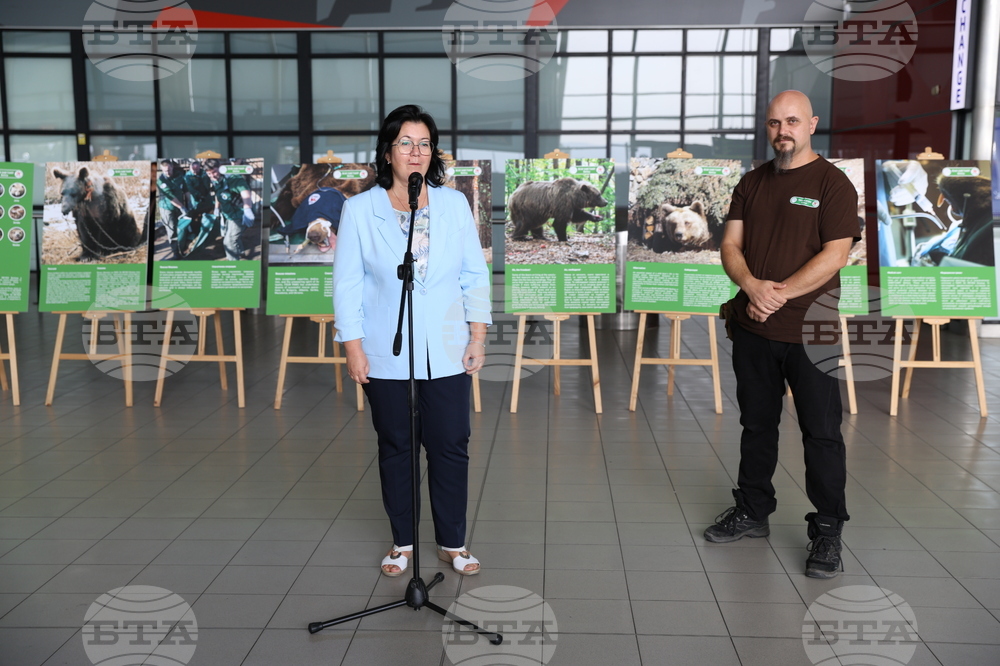 Летище "София" - „Четири лапи“ - изложба „Спасените: 20 години история“