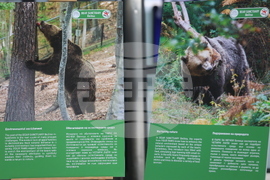 Летище "София" - „Четири лапи“ - изложба „Спасените: 20 години история“