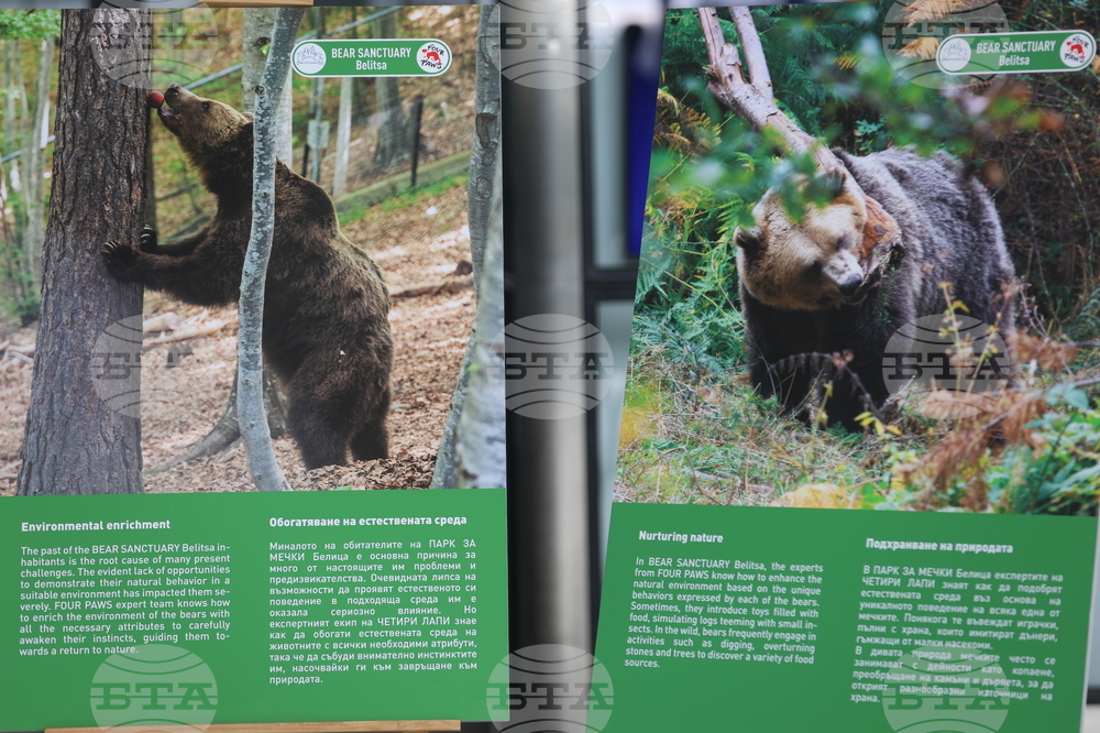 Летище "София" - „Четири лапи“ - изложба „Спасените: 20 години история“