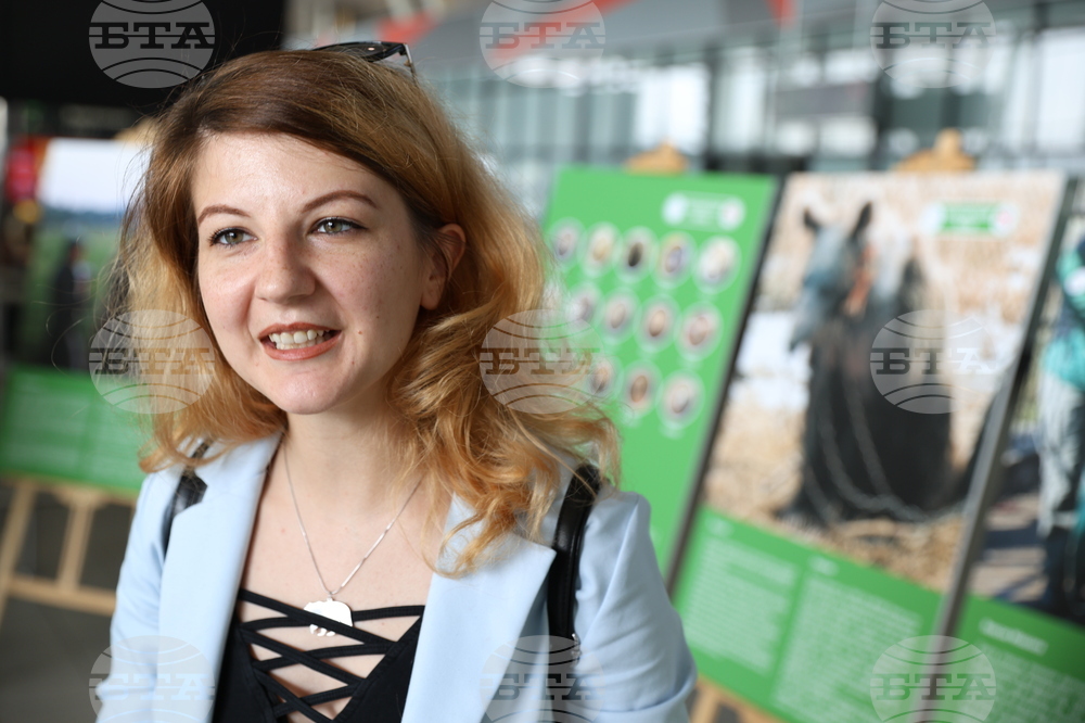 Летище "София" - „Четири лапи“ - изложба „Спасените: 20 години история“