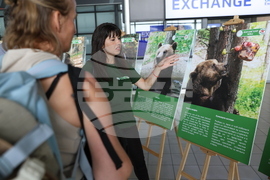 Летище "София" - „Четири лапи“ - изложба „Спасените: 20 години история“