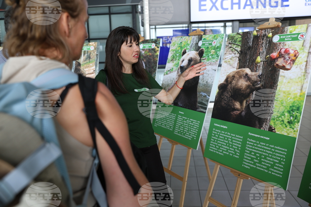 Летище "София" - „Четири лапи“ - изложба „Спасените: 20 години история“