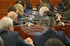 Парламент - проектокабинет - заседание