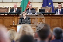 Парламент - проектокабинет - заседание - Корнелия Нинова