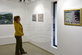 Варна - Годишна изложба на музея „Георги Велчев“