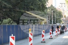 Улица „Опълченска“ - ремонт - дървета