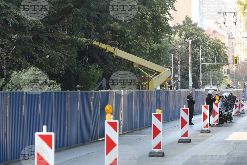 Улица „Опълченска“ - ремонт - дървета