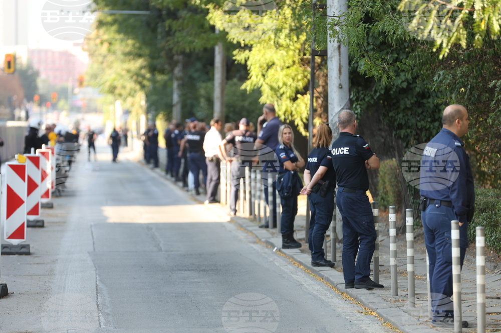 Улица „Опълченска“ - ремонт - дървета