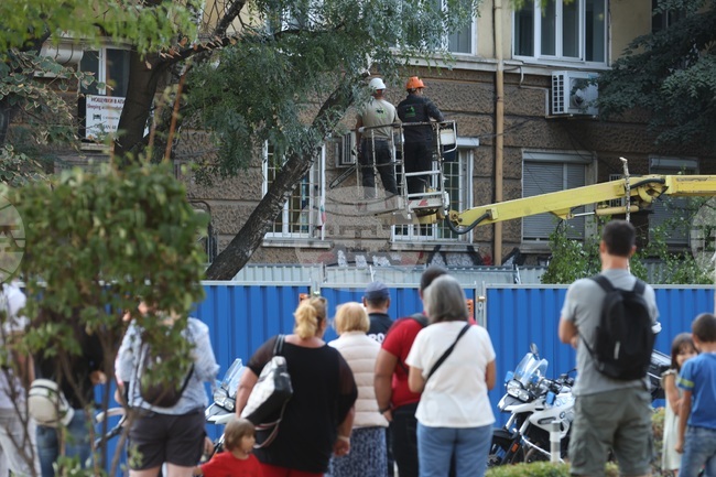 Улица „Опълченска“ - ремонт - дървета