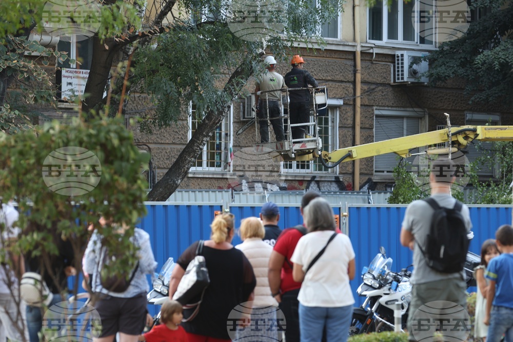 Улица „Опълченска“ - ремонт - дървета