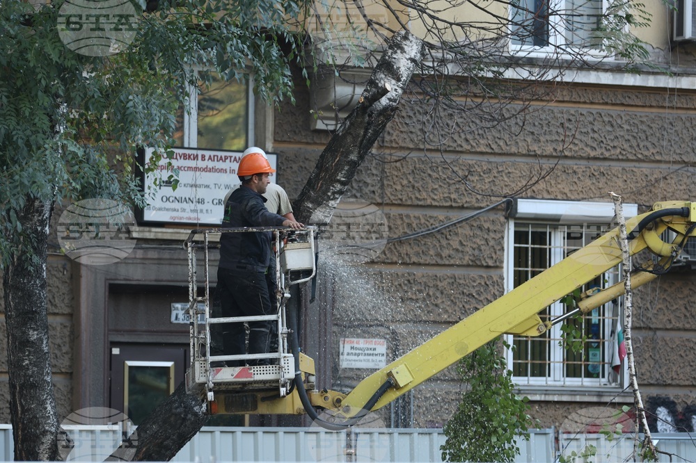 Улица „Опълченска“ - ремонт - дървета