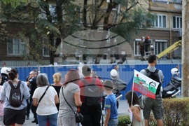 Улица „Опълченска“ - ремонт - дървета