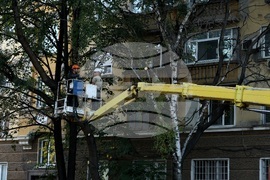 Улица „Опълченска“ - ремонт - дървета