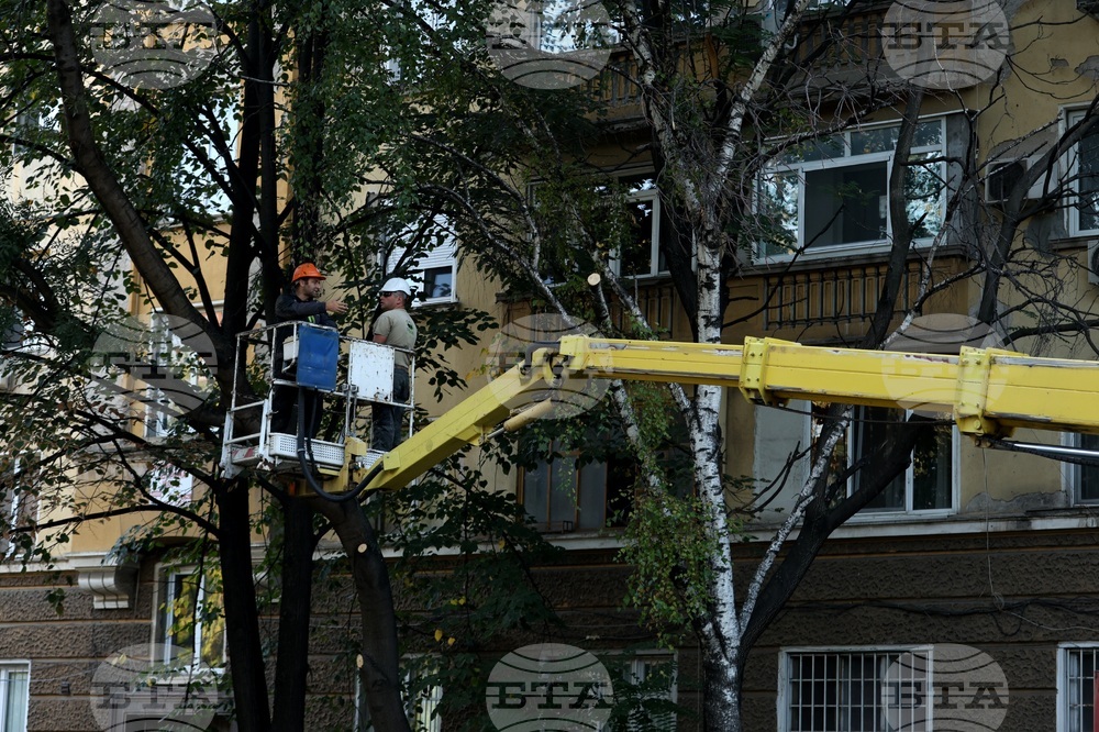 Улица „Опълченска“ - ремонт - дървета