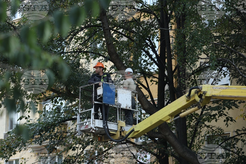 Улица „Опълченска“ - ремонт - дървета