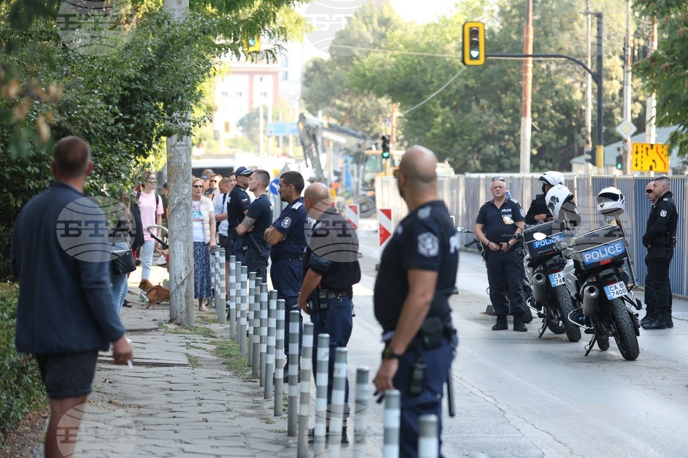Улица „Опълченска“ - ремонт - дървета