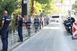 Улица „Опълченска“ - ремонт - дървета