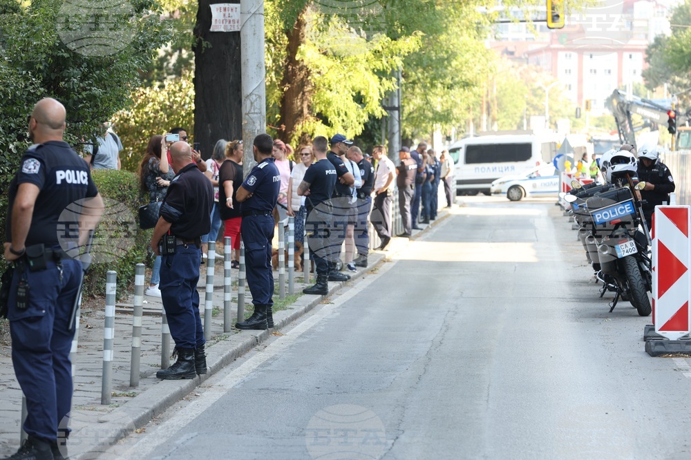 Улица „Опълченска“ - ремонт - дървета