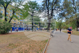 Улица „Опълченска“ - ремонт - дървета