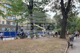 Улица „Опълченска“ - ремонт - дървета