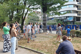 Улица „Опълченска“ - ремонт - дървета