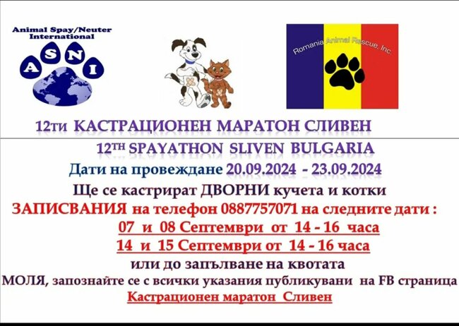 Община Сливен: На 20 септември започва XII кастрационен маратон в Сливен