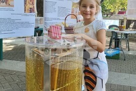 Хасково - изложение - мед - пчелари